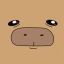 CAPY