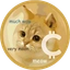 Coin Icon