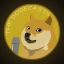 Dogecasts