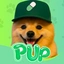 PUP