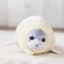 Mochi