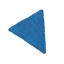 Coin Icon