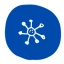 VIRUSCOIN