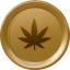 Coin Icon
