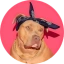 Coin Icon