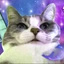 CHONKY