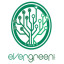 evergreencoin