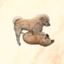 Coin Icon