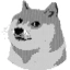 DOGE1995