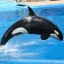 SHAMU