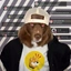 KOVU