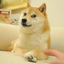 DOGE