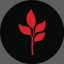 Coin Icon