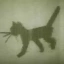 KITTY
