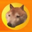 Coin Icon