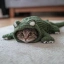 catgator