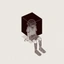 Coin Icon