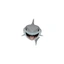 SHARKGUY
