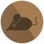 mousecoin