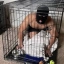 DOGCAGE