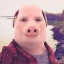 PORK
