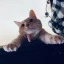 Xуита