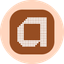 Coin Icon