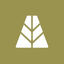 Coin Icon