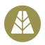 Coin Icon