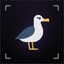 Coin Icon
