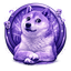 Aoge | Anon Doge logo