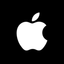 Coin Icon