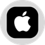 Coin Icon