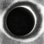 Coin Icon