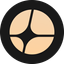 Coin Icon