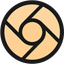 Coin Icon