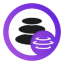 Coin Icon