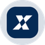 Coin Icon