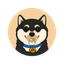 Coin Icon