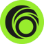 Coin Icon