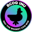 BCOQ