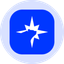 Coin Icon