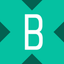 Coin Icon
