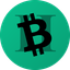 Coin Icon