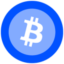 Coin Icon