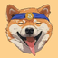 Coin Icon