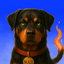 Coin Icon