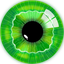 Coin Icon