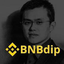 BNBDIP