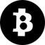 Coin Icon